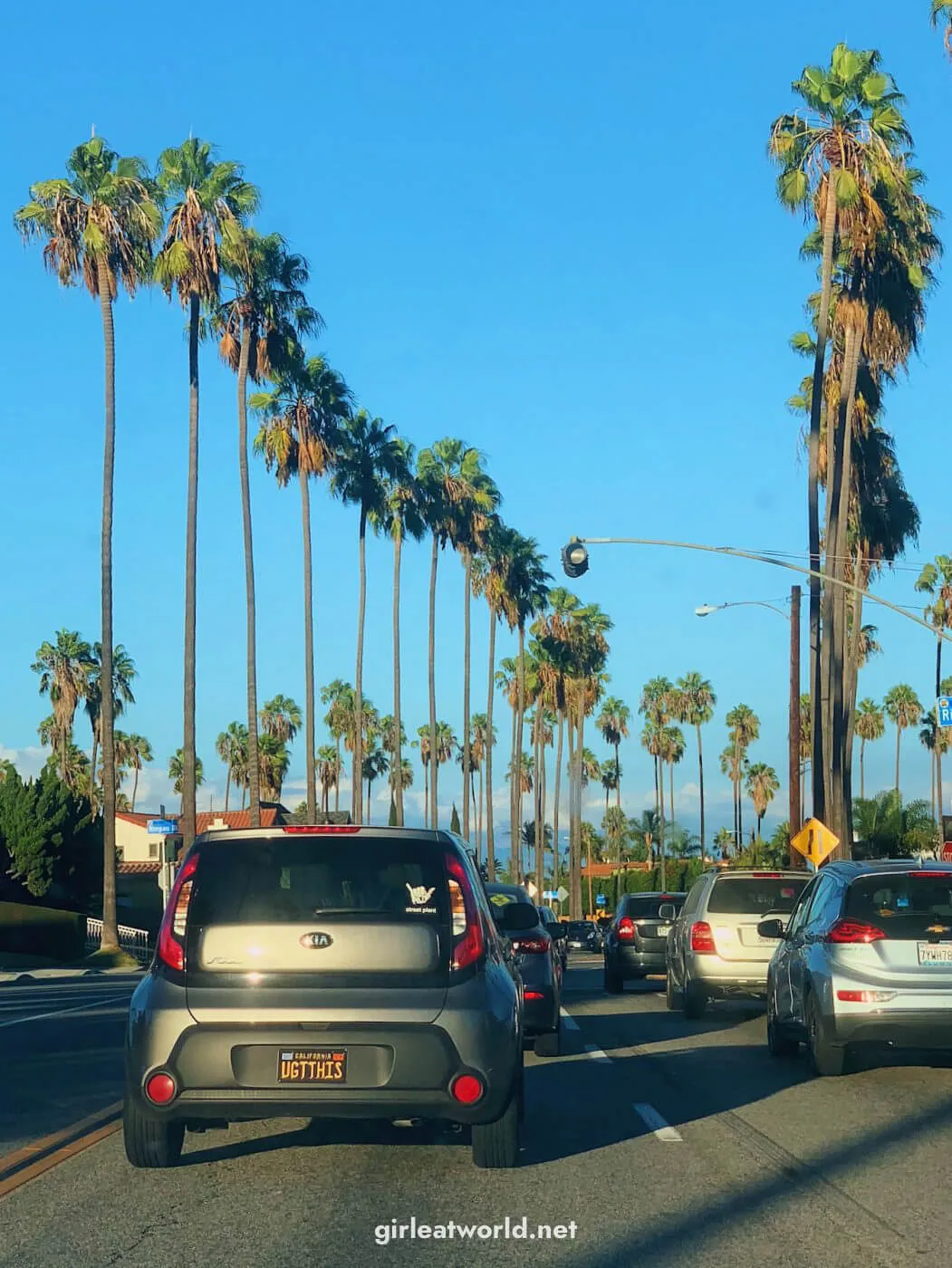 Your Ultimate LA Travel Blog - Insider Tips & Itinerary for Los Angeles