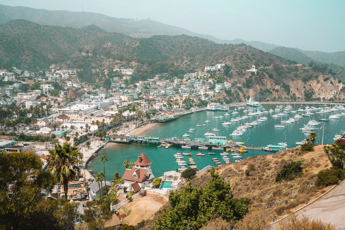 Panoramic view of Catalina Island from a hillside overlooking the ocean