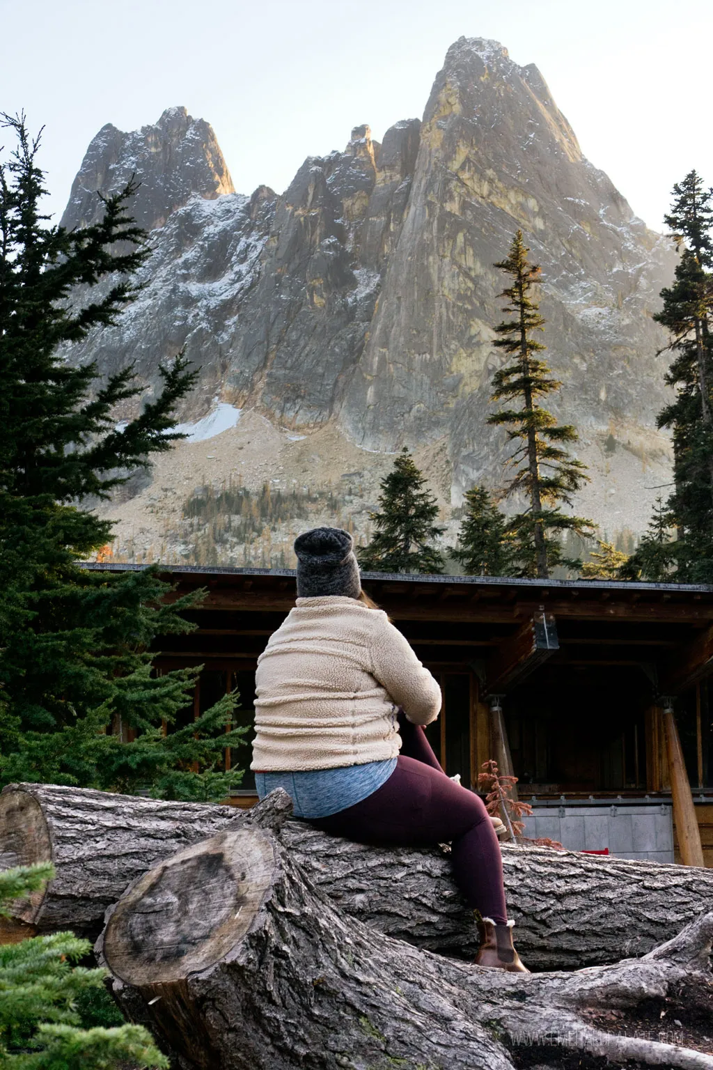 Panoramic view of North Cascades National Park mountains