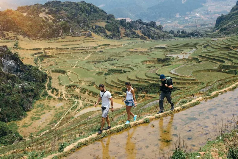Panoramic view of the stunning Sapa Valley with layered rice terraces stretching across the landscape