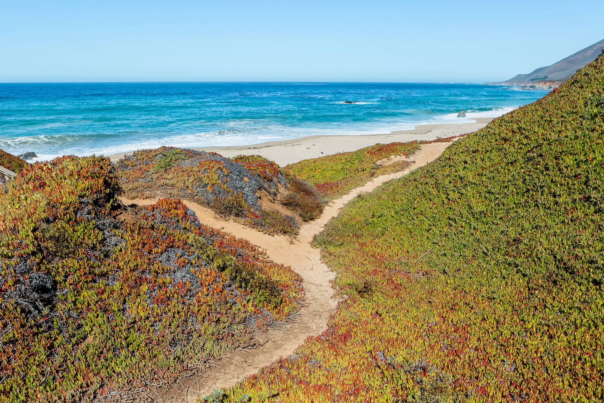 Path and stairs leading down to Garrapata State Beach
