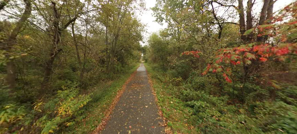 Paved multi-use path surrounded by trees, part of the Huron Valley Trail network