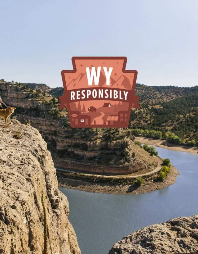 People and dogs enjoying an outdoor area in Wyoming, promoting responsible travel.