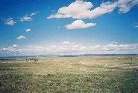 plains
