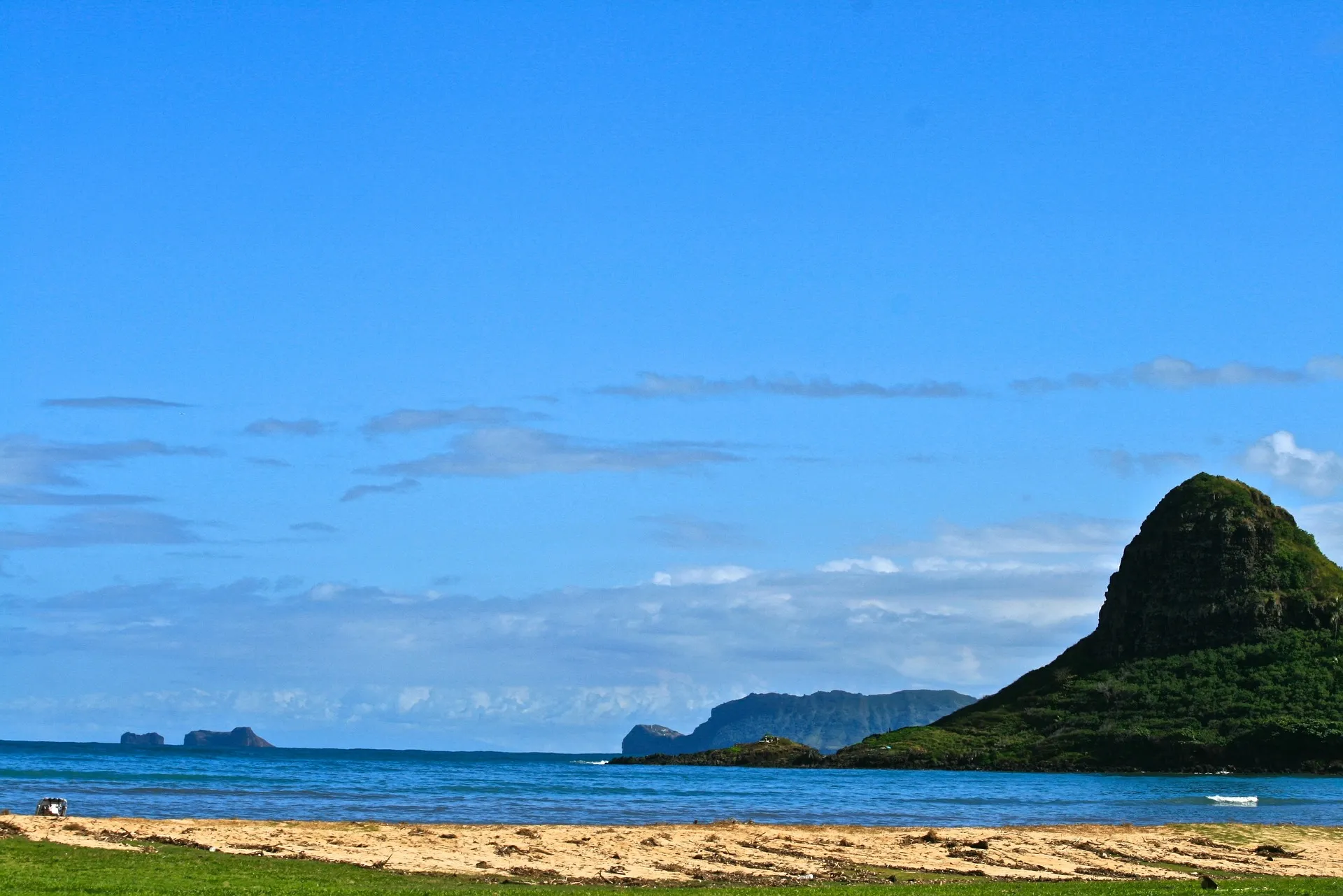 Popular North Shore shrimp truck on Oahu, a must-try food stop near Honolulu