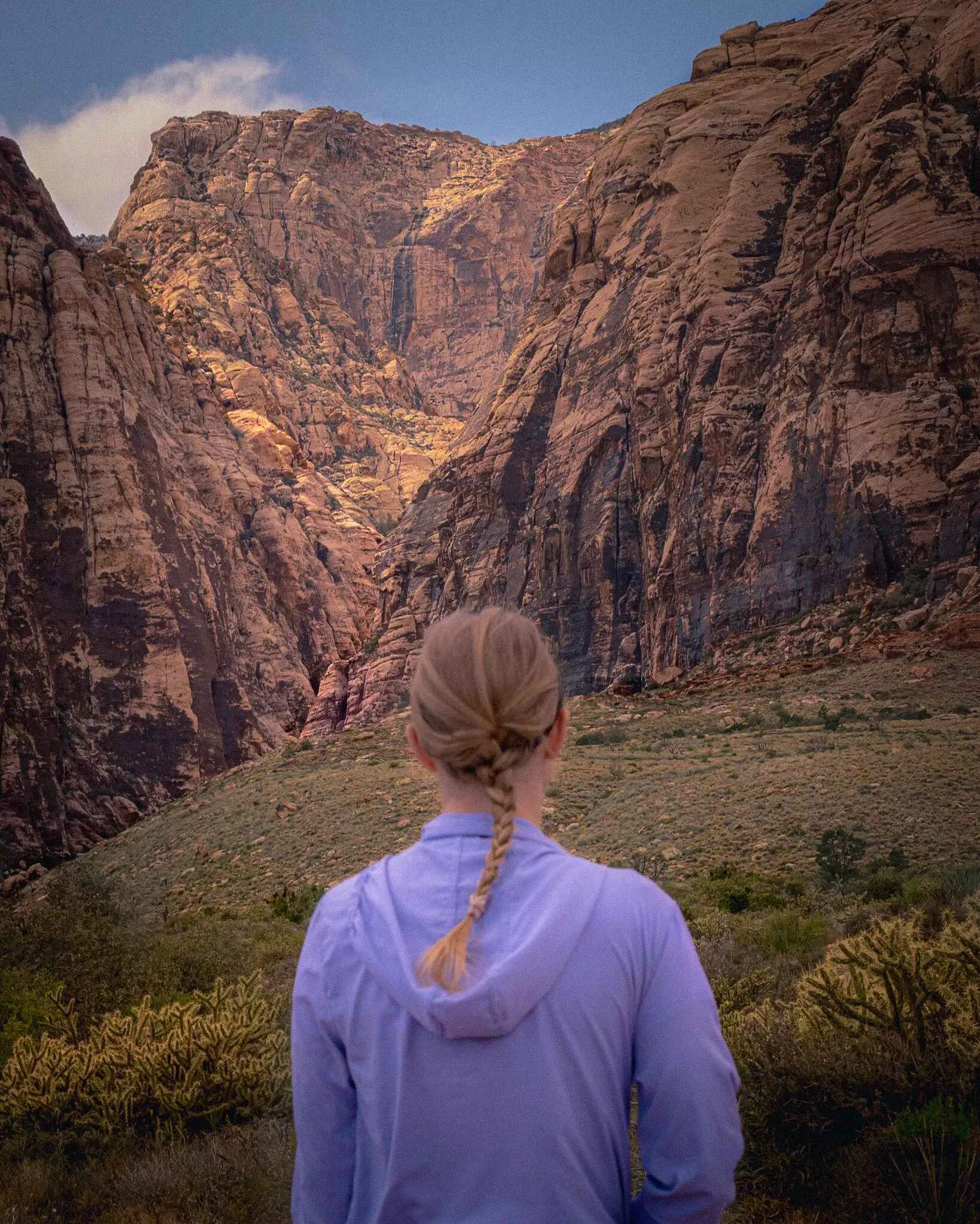 red rock canyon views las vegas best hiking