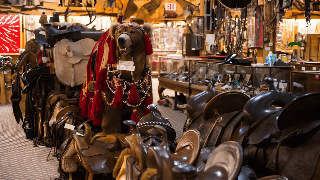 Replica bear surrounded by saddles and exhibits at King's Saddlery and Museum - Cowboy Culture Things To See And Do In Wyoming