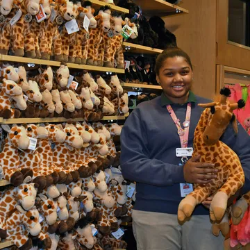Retail store interior at the Bronx Zoo, showing opportunities in sales for those seeking Bronx night jobs.