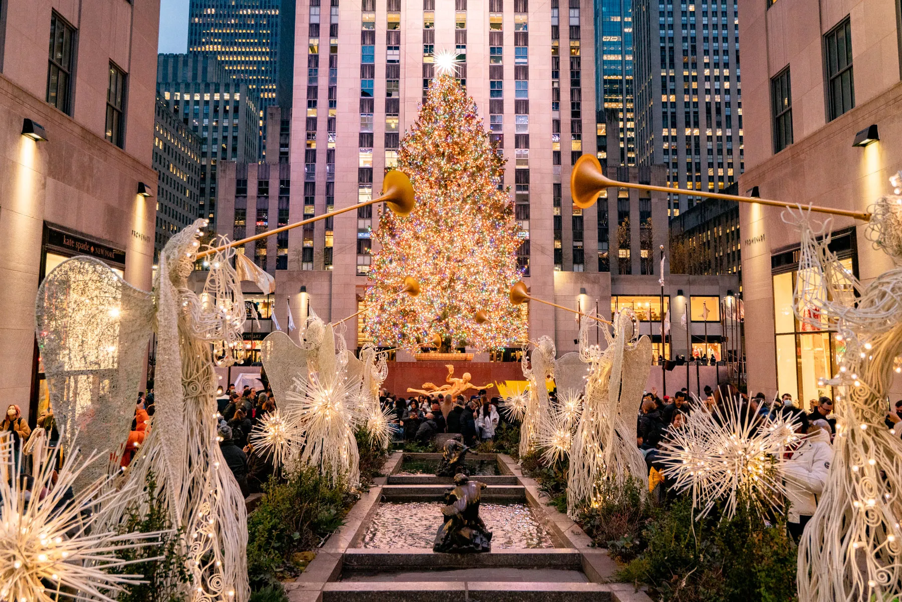 Rockefeller Christmas Tree shining brightly at night in NYC