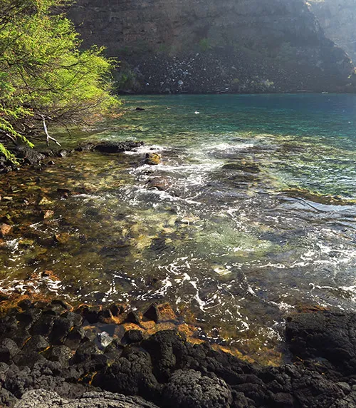 Rocky shoreline of Captain Cook Monument, with cliffs in the background.