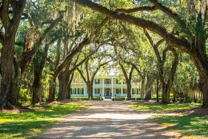 Rosedown Plantation and Gardens | Photo Copyright: Lana Law