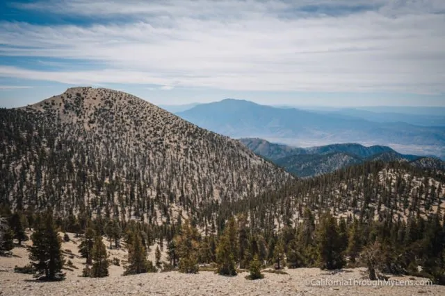 Rugged, exposed summit of San Gorgonio Mountain, the highest peak in Southern California