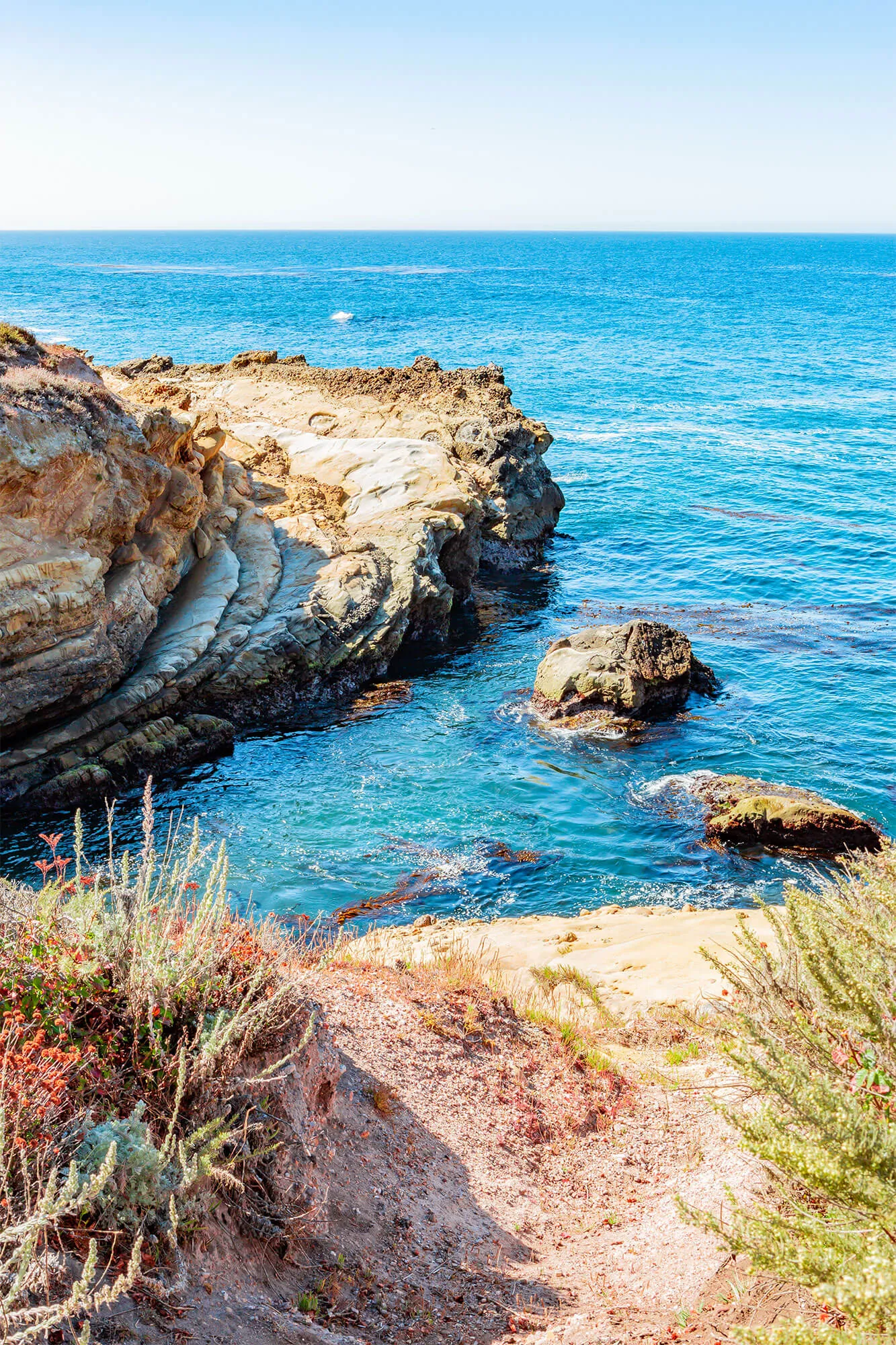 Rugged shoreline at Point Lobos State Natural Reserve
