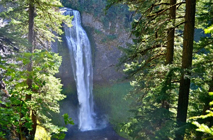 Salt Creek Falls cascades down a cliff face within Willamette National Forest