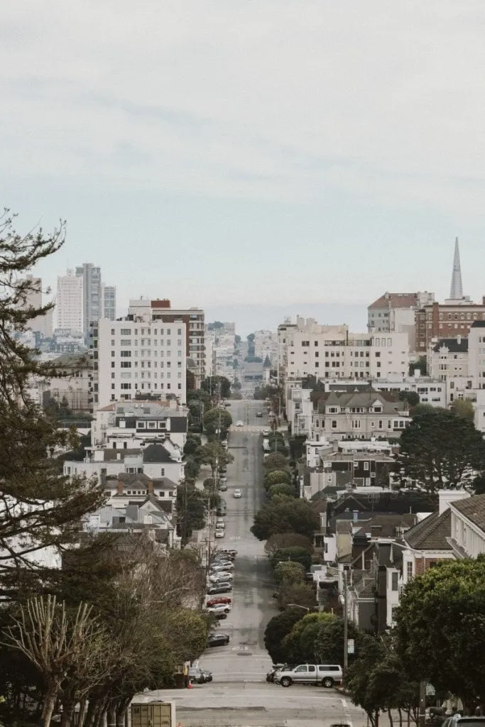 SanFranciscoView-683x1024.jpg