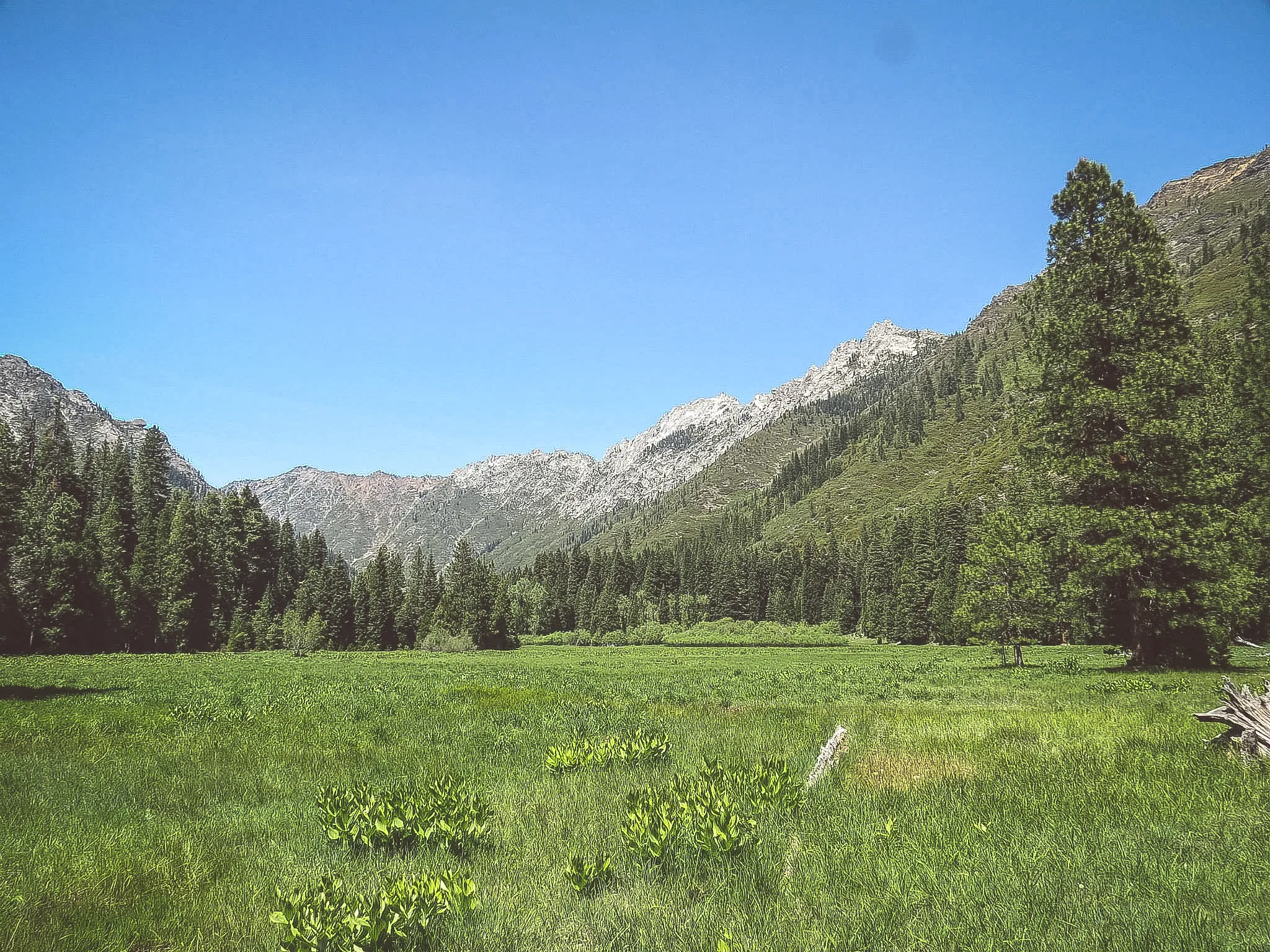 Scenic view of a calm lake surrounded by mountains and forest
