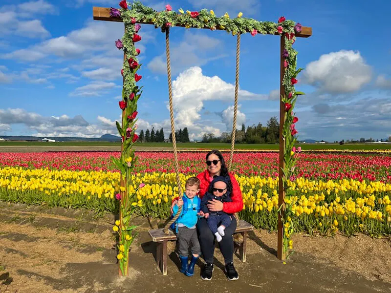 Scenic view of a swing set up in a tulip field with mountains in the background during the Skagit Valley Tulip Festival