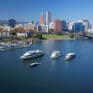 Several cruise ships of different sizes are docked on the Willamette River in Portland, ready for boat tours.