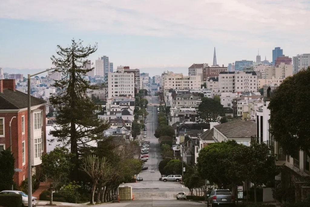 SF-1-1024x683.jpg