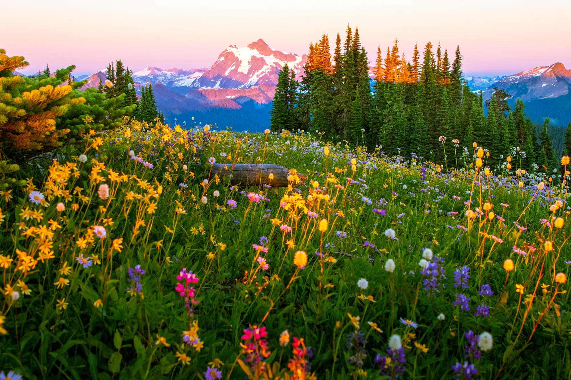 Skyline Divide