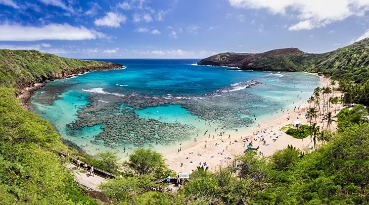 Snorkelers exploring the vibrant coral reef at Hanauma Bay Nature Preserve.