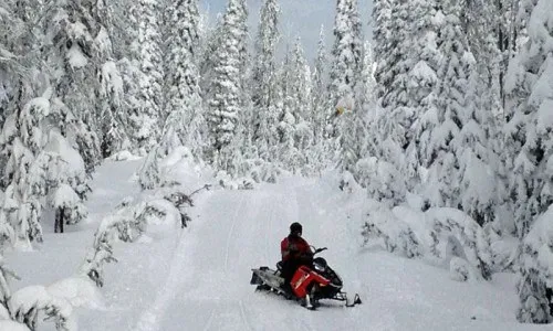 Snowmobiling through a snowy landscape