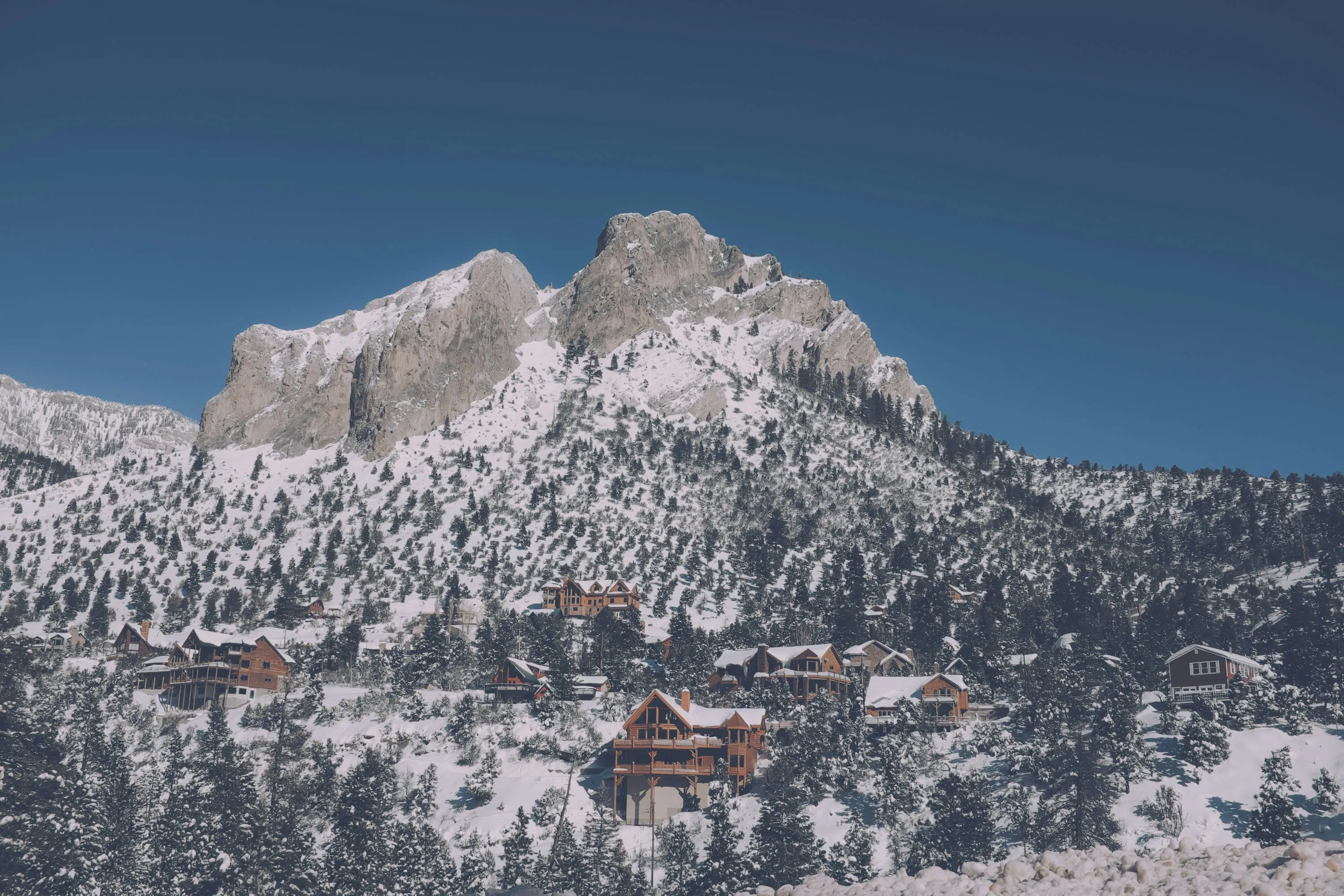 Snowy mountains covered with pine forest and dotted with the occasional luxe mountain cabin