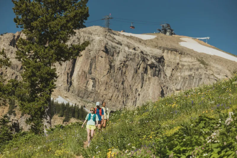 SShelesky Jhmr Hike