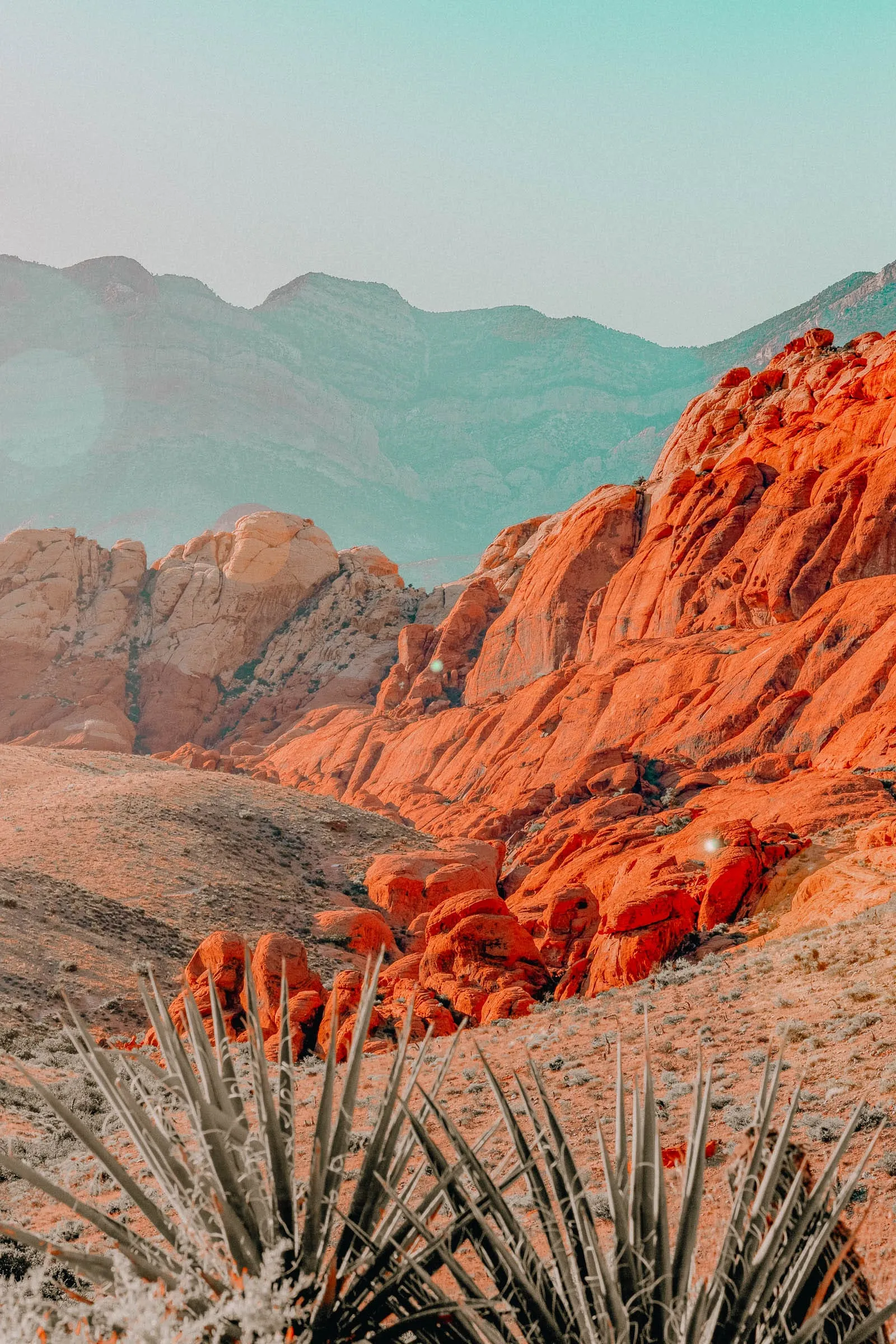 Striking red rock formations under a blue sky in Red Rock Canyon