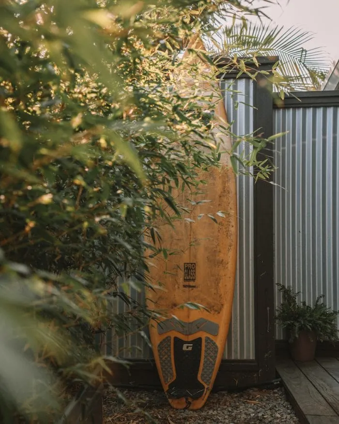 Surfboard propped up on a back patio overlooking palm trees