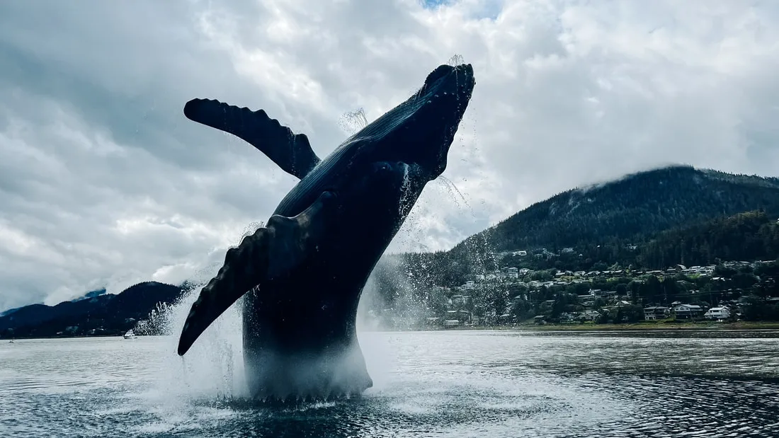 Tahku the Whale Sculpture on the Juneau waterfront with water features