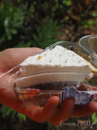 Ted's Bakery Chocolate Haupia Pie