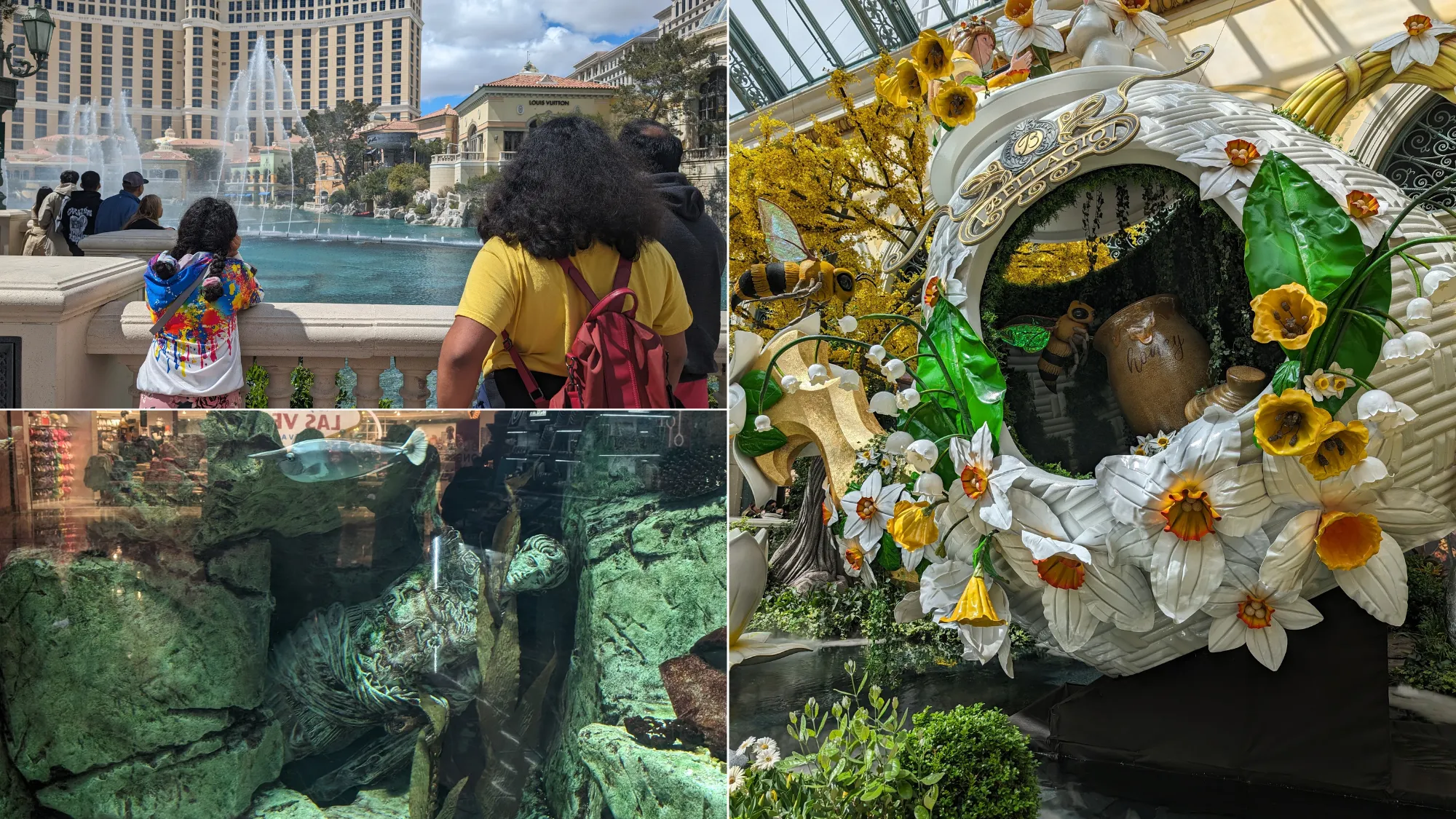 The Bellagio Fountains, the Bellagio Conservatory, the aquarium at Caesars Forum