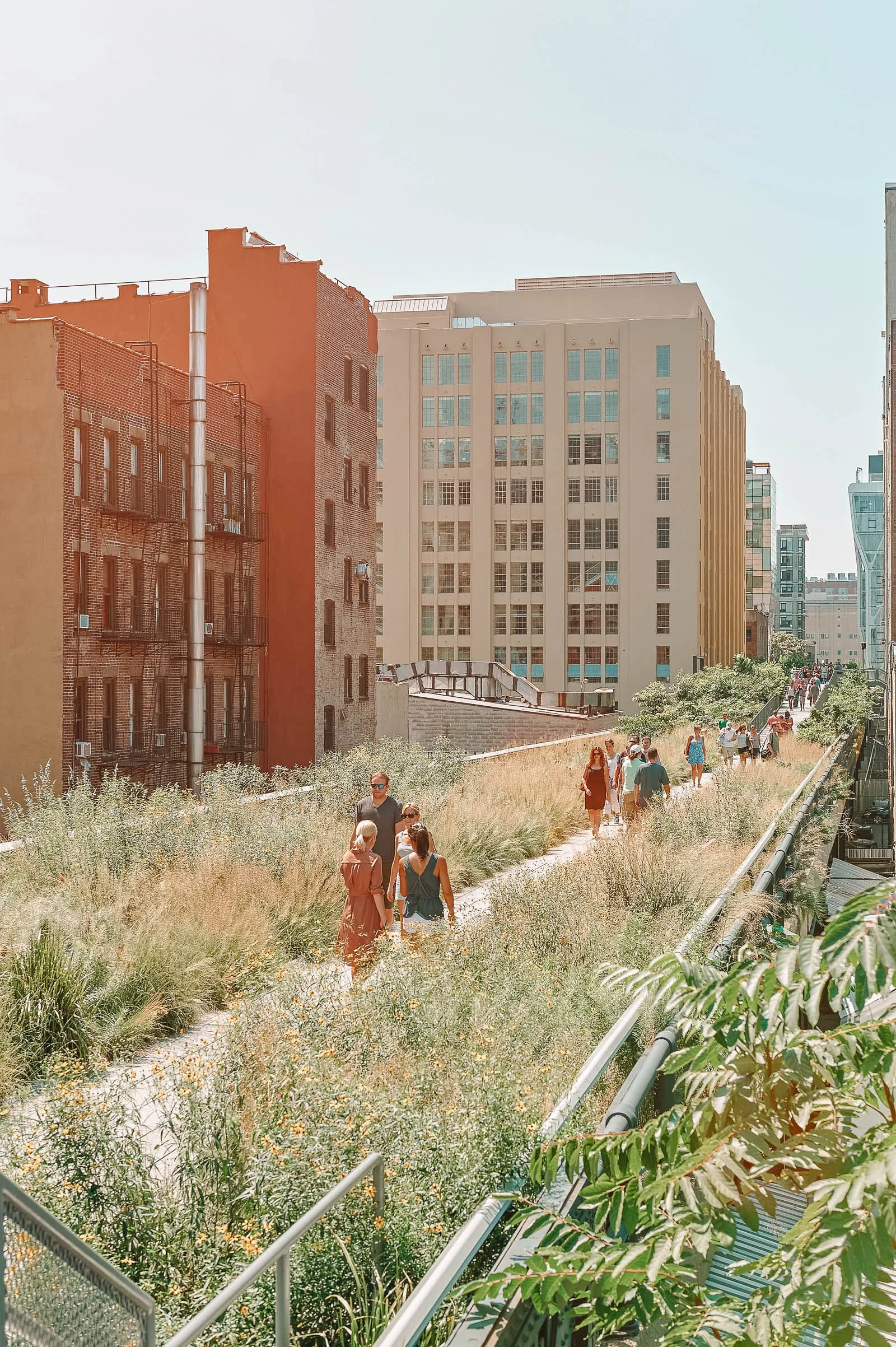 The elevated walkway of the Highline urban park with plants and city views