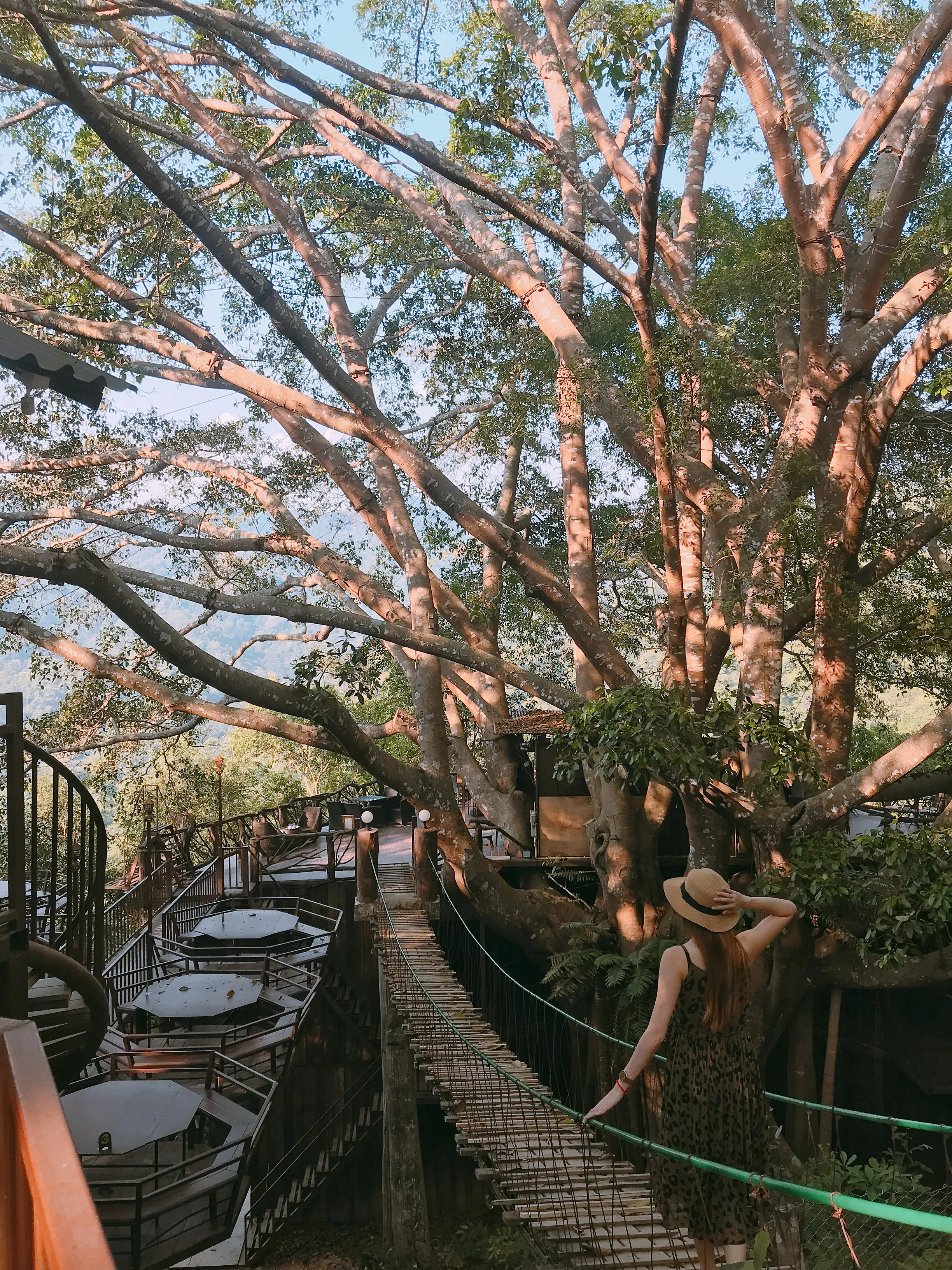 The Giant Treehouse cafe attraction near Chiang Mai