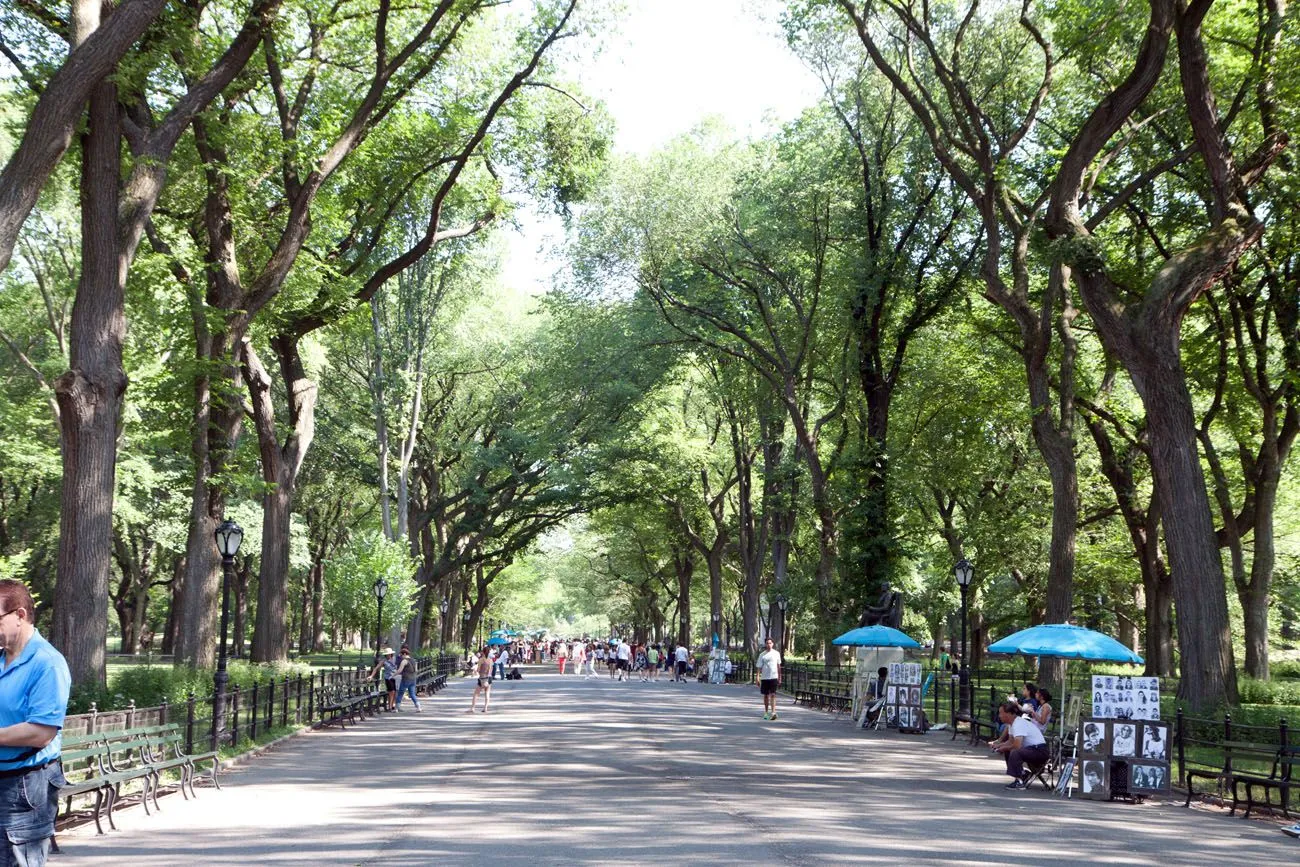 The Mall, a wide tree-lined promenade in Central Park