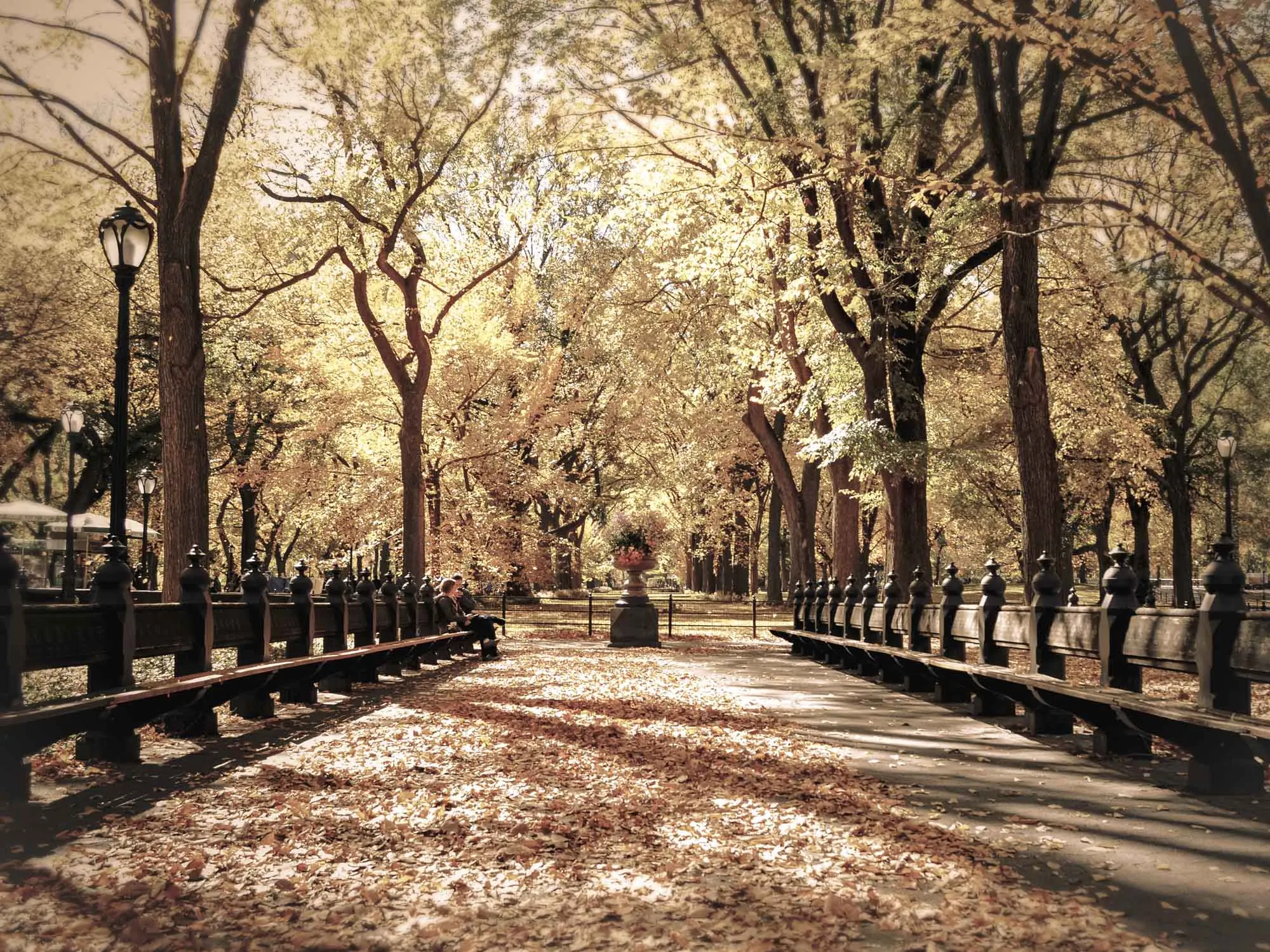 The Mall walking path lined with trees in Central Park NYC