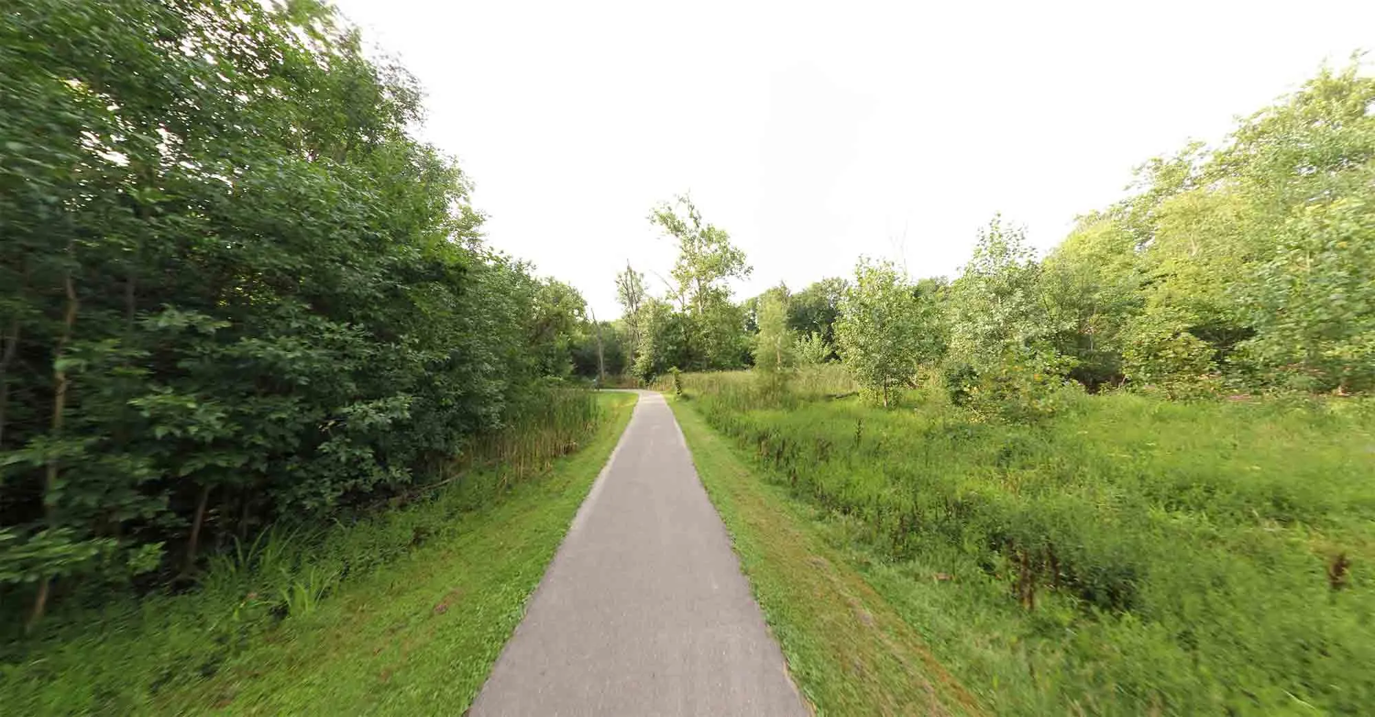 The paved Hines Park Trail winding alongside a river and through a park area