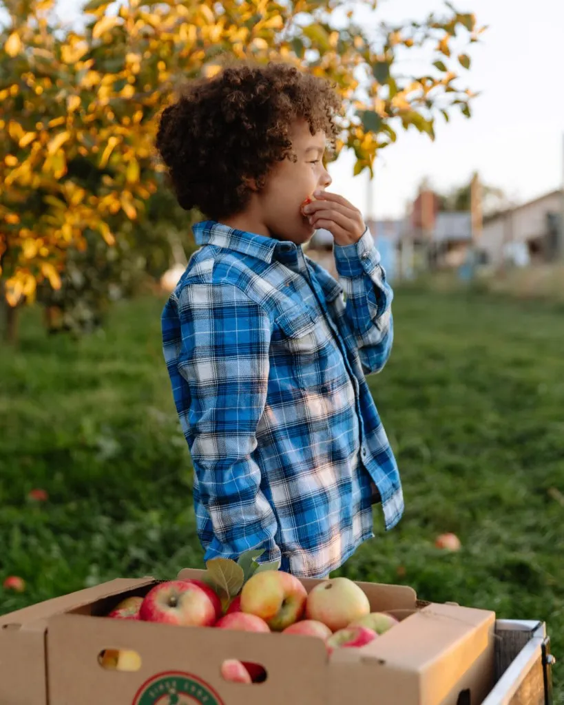 There’s an apple for every taste in Washington.