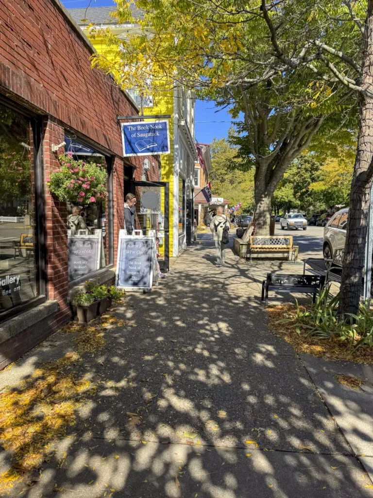 This photo shows a scene from Saugatuck, Michigan, reflecting the vibrant atmosphere and artistic flair that make it one of the good places to vacation in Michigan, particularly for those seeking a lively arts and culture scene.