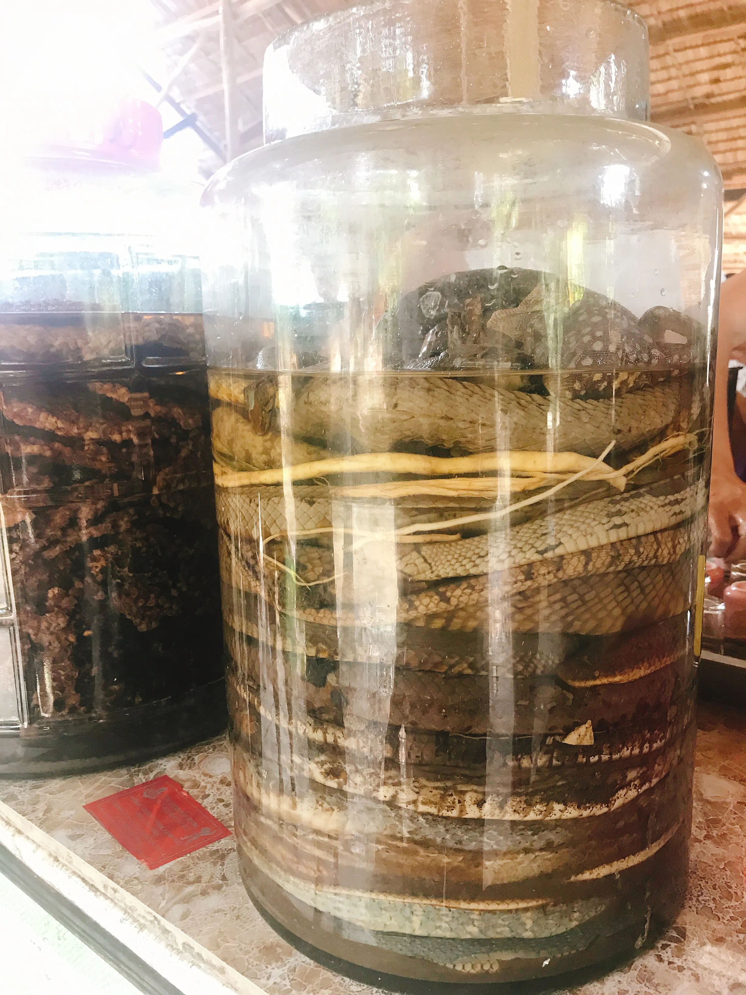 Traditional snake wine on display in the Mekong Delta