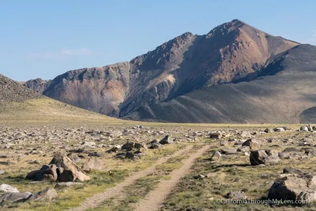 Trail leads across an alpine ridge towards the summit of White Mountain Peak
