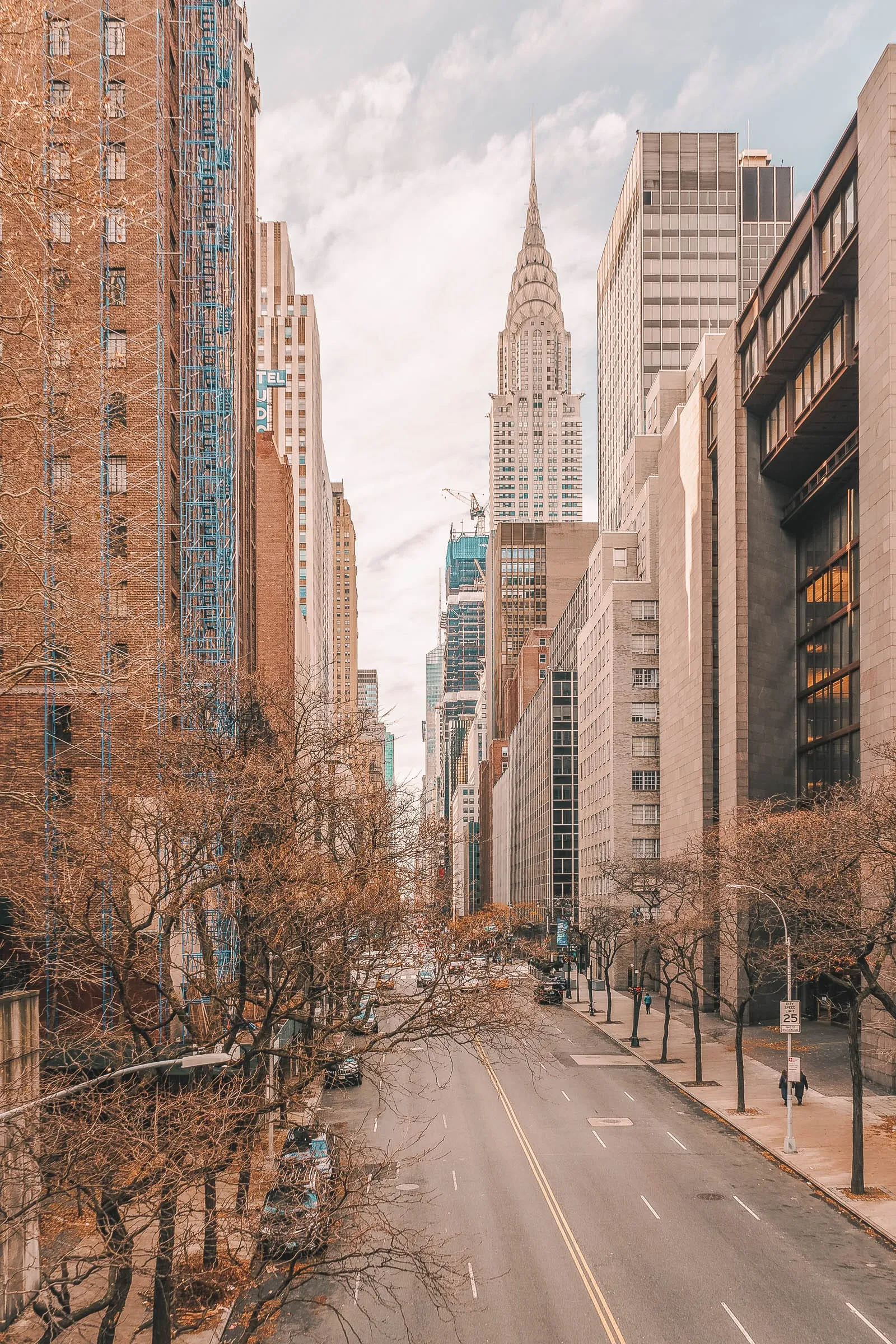 Tree-lined street with typical Manhattan brownstone buildings