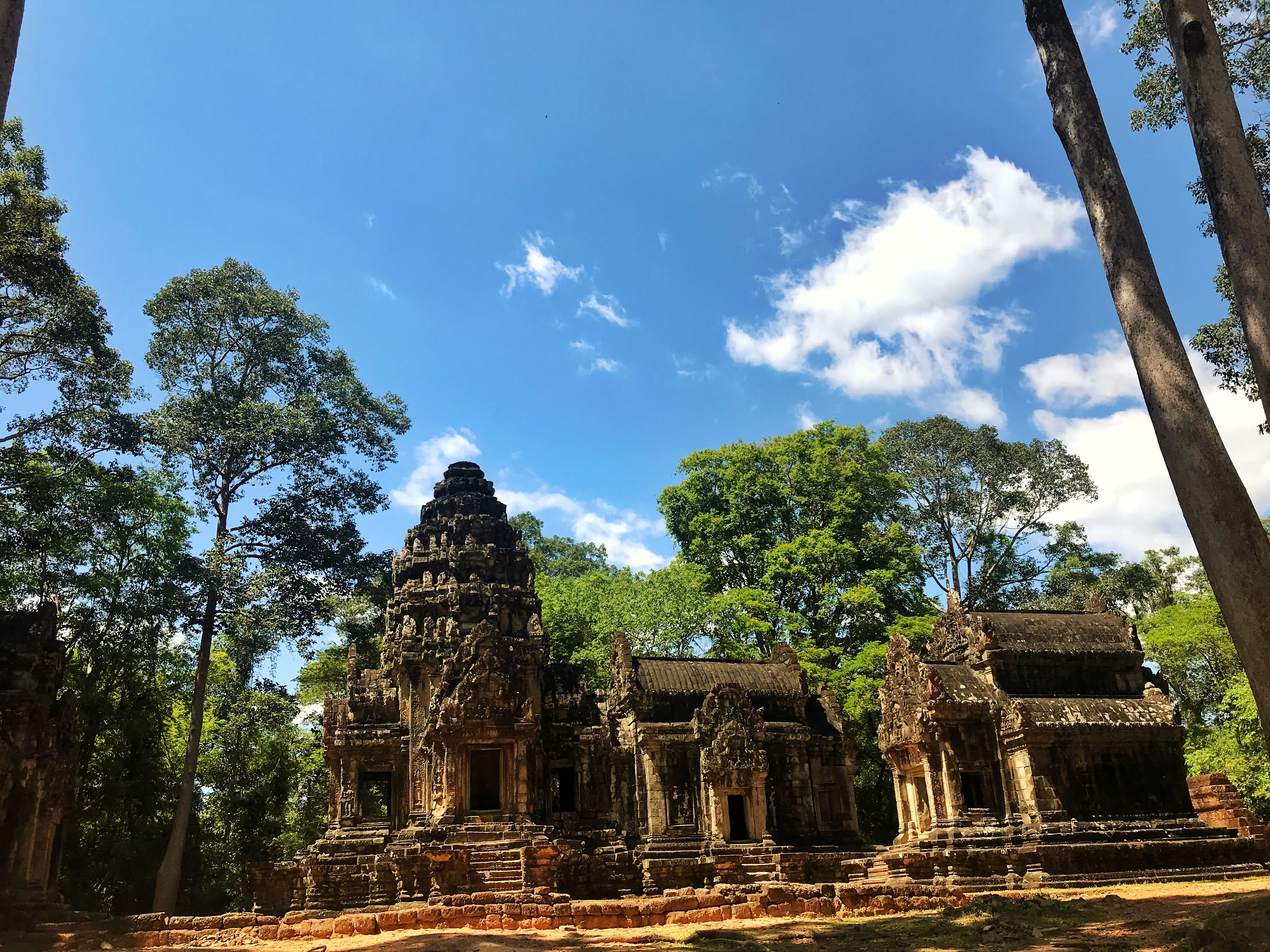Tree roots embracing ancient temple ruins at Ta Prohm, Cambodia