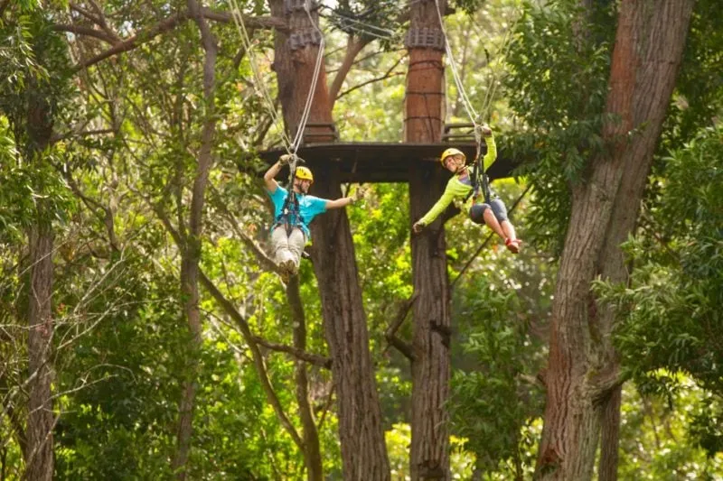 Twin ziplines with Kohala Ziplines.