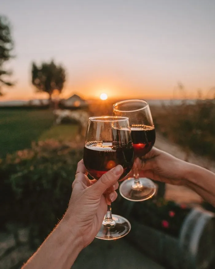 Two glasses of red wine clinking together with a sunset over a vineyard in the background