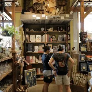 Two people browsing products inside a unique shop on Mississippi Avenue in Portland