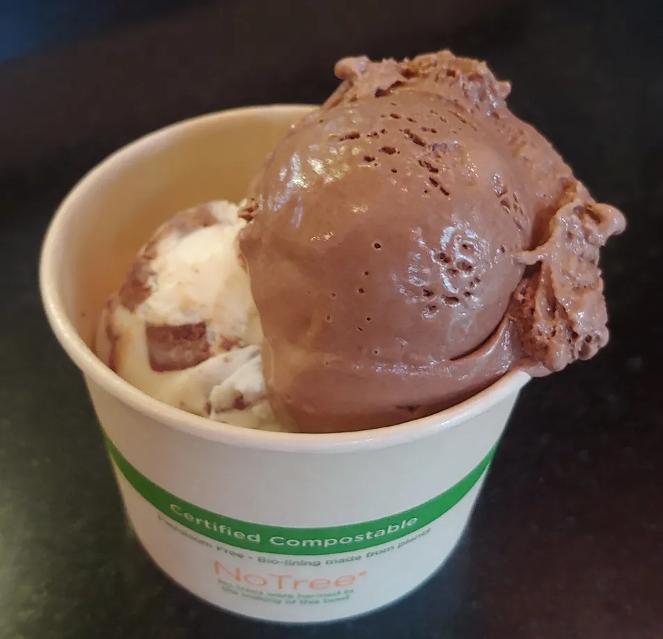 Two scoops of ice cream in a paper cup