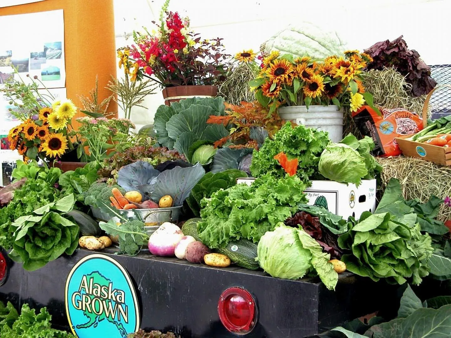 Unique Alaskan produce grown under the midnight sun