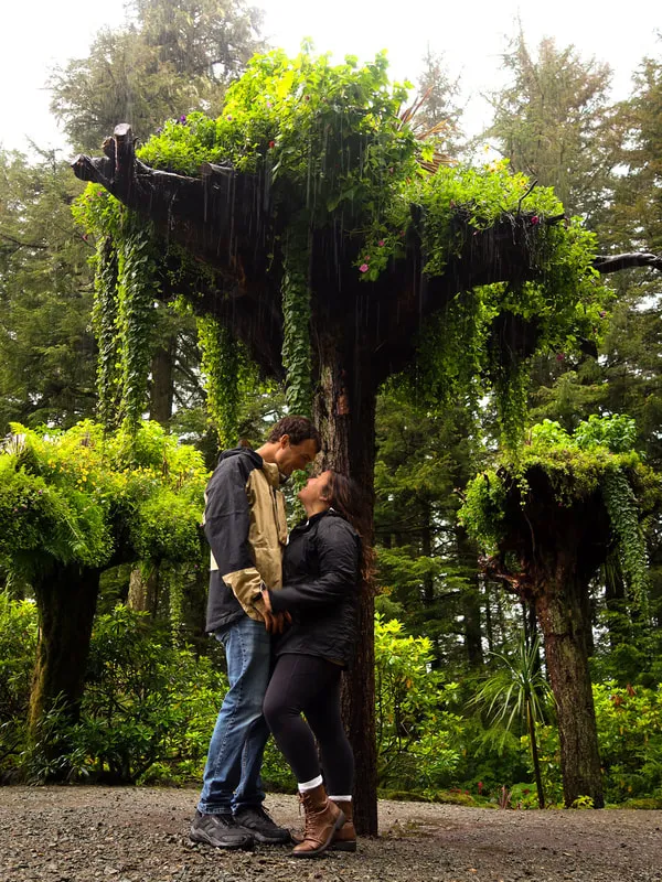 Upside down trees installation at Glacier Gardens near Juneau